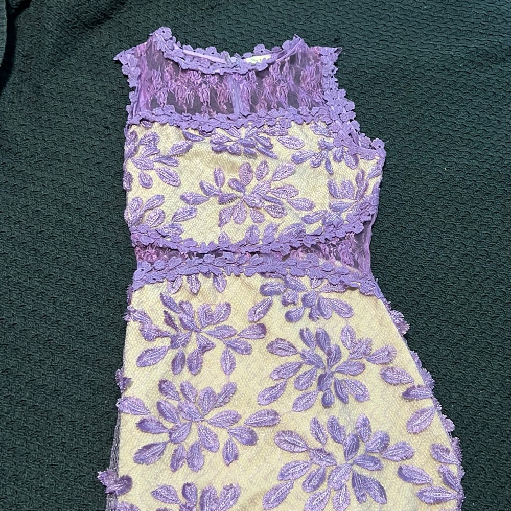 Lacey nude and purple mini dress
